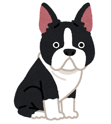 dog_boston_terrier.png